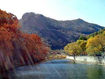 新澳天天开奖资料大全旅游团，搞笑小说